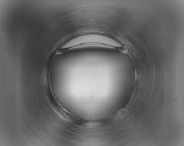 X0000073990158200609181751