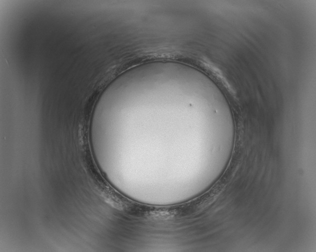 X0000073990161200609181751