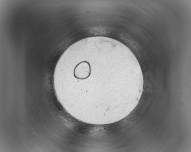 X0000073990162200609181751