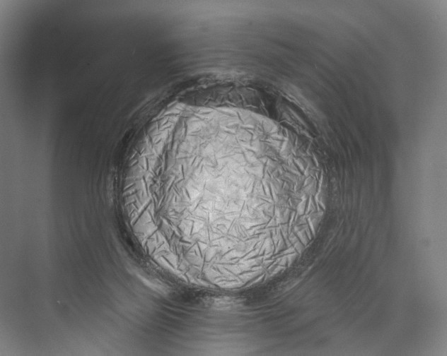 X0000073990165200609181751