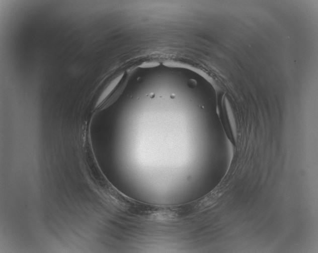 X0000073990168200609181751