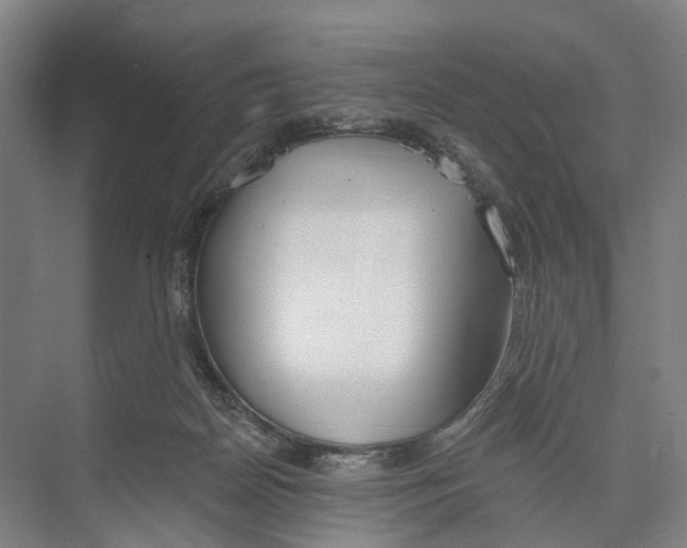 X0000073990170200609181751