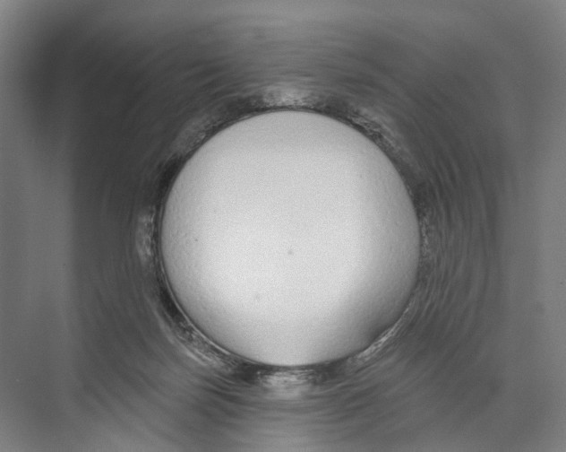 X0000073990171200609181751