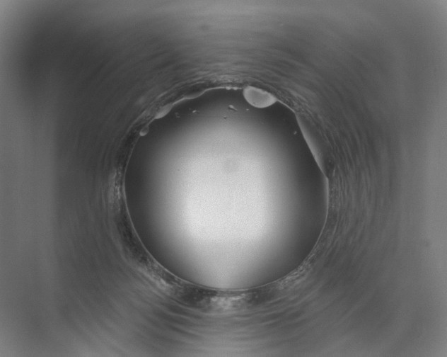 X0000073990172200609181751