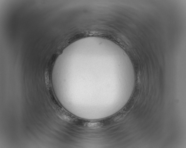 X0000073990173200609181751