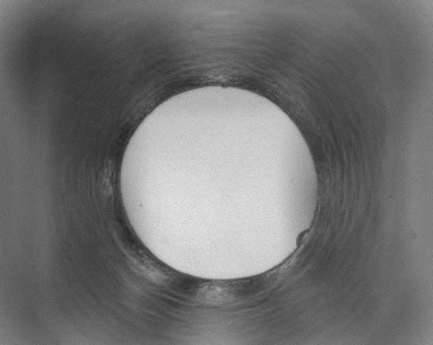 X0000073990174200609181752