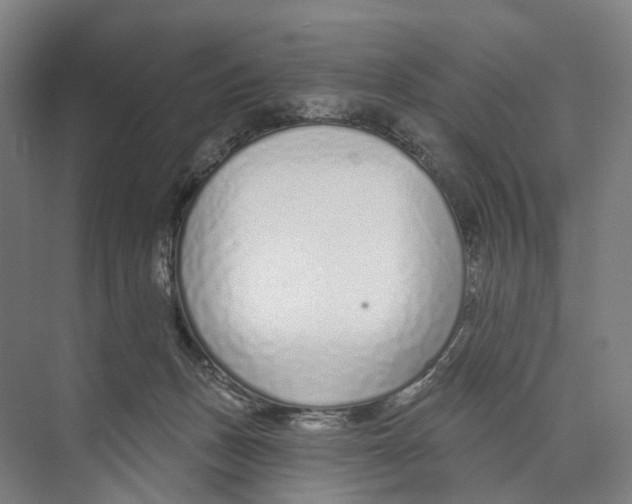 X0000073990175200609181752