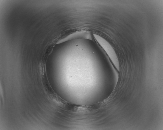 X0000073990180200609181752