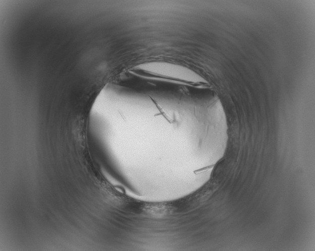 X0000073990181200609181752