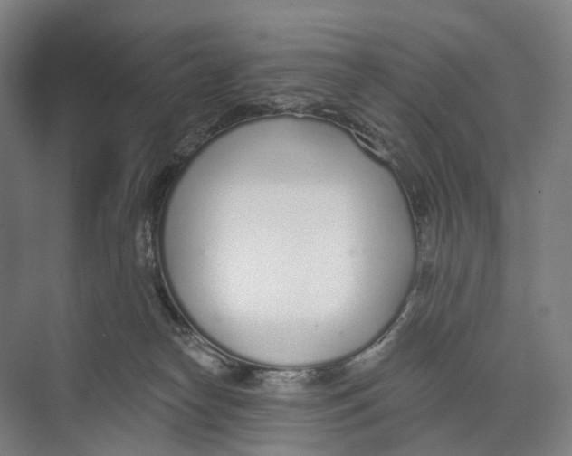 X0000073990182200609181752