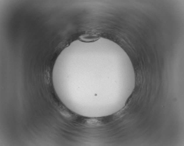 X0000073990183200609181752