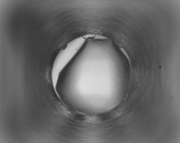 X0000073990185200609181752