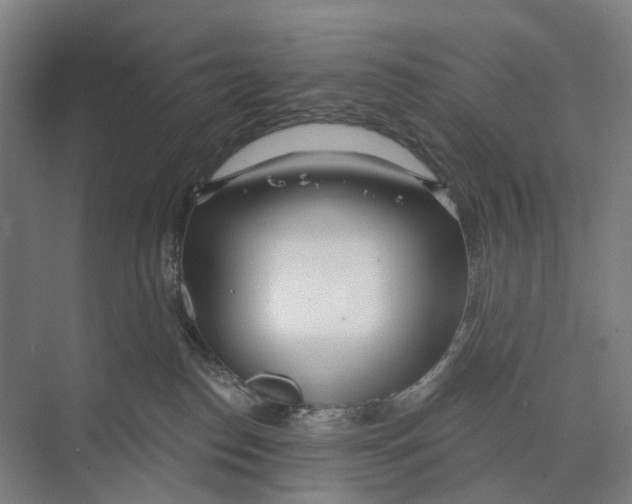 X0000073990186200609181752