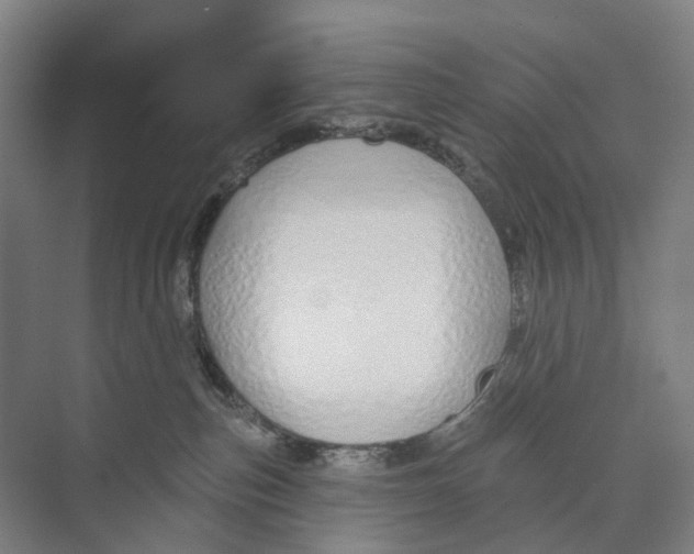 X0000073990187200609181752