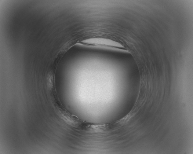 X0000073990188200609181752