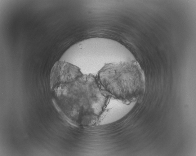 X0000073990189200609181752