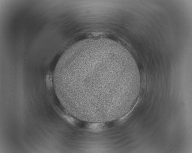 X0000073990191200609181752