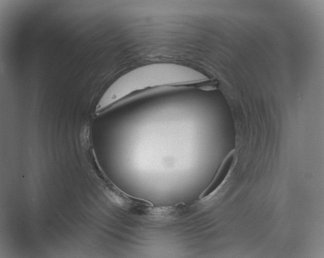 X0000073990192200609181752