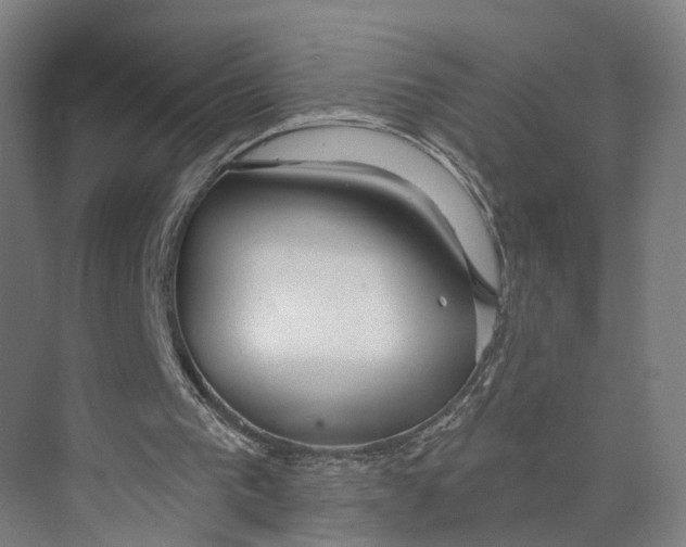 X0000073990193200609181751