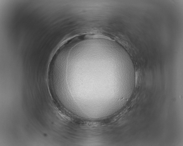 X0000073990195200609181751