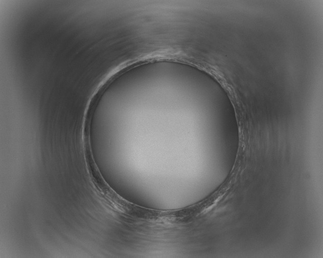 X0000073990196200609181751