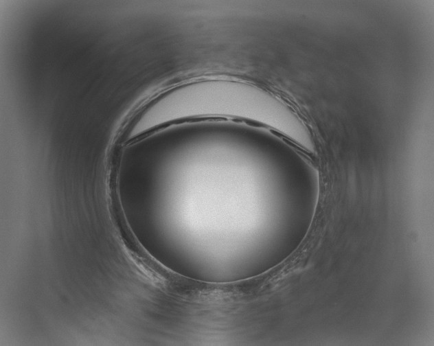 X0000073990197200609181751