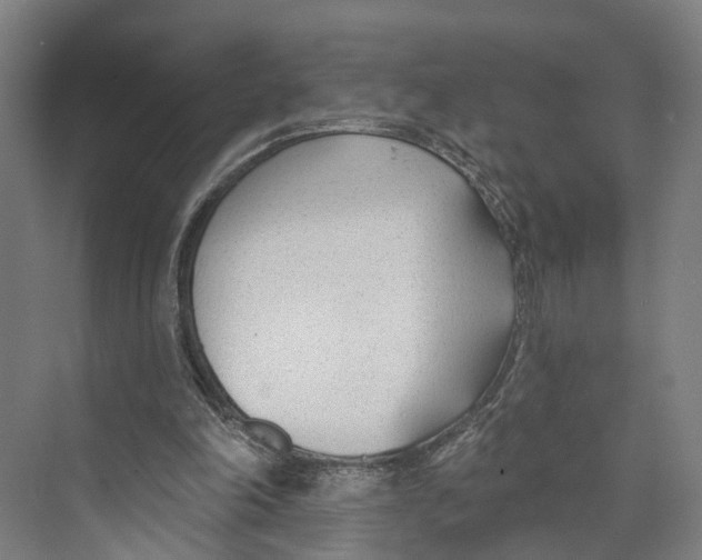 X0000073990198200609181751