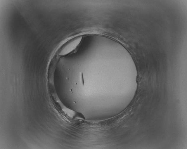 X0000073990200200609181751