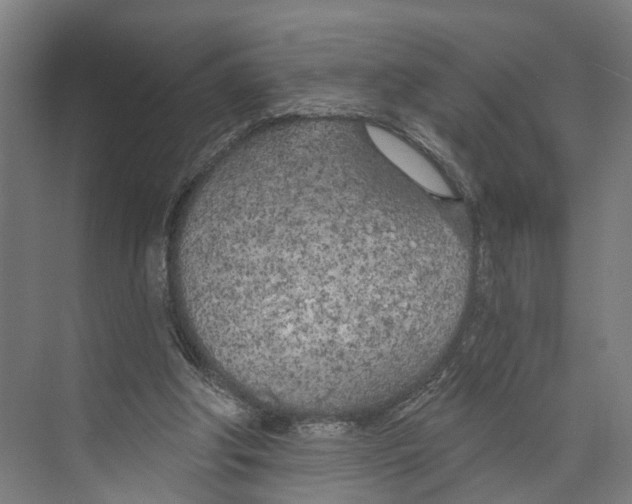 X0000073990202200609181751