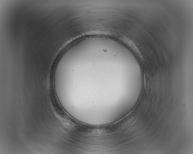 X0000073990204200609181751