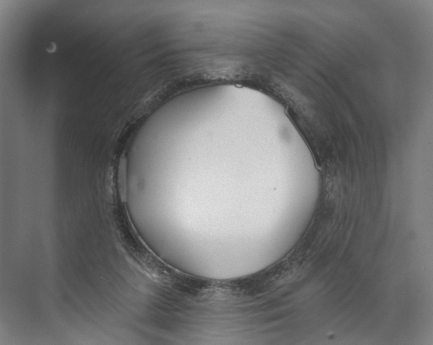 X0000073990211200609181751