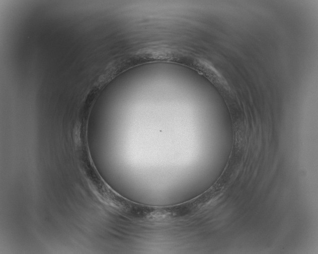 X0000073990213200609181751