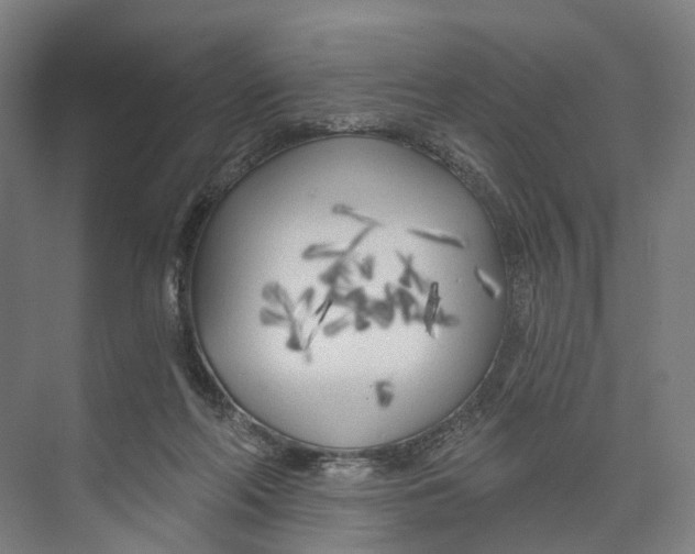 X0000073990214200609181751