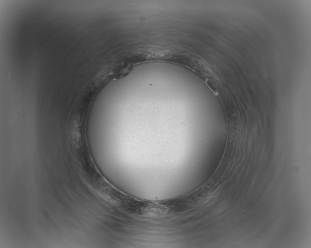 X0000073990215200609181751