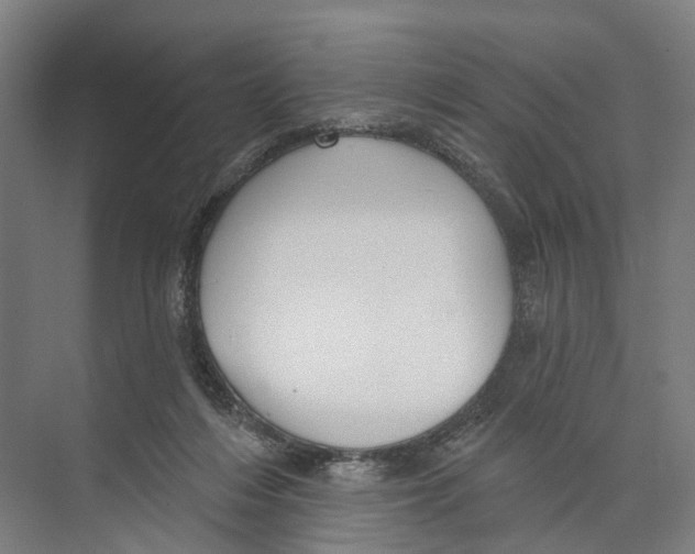 X0000073990216200609181751