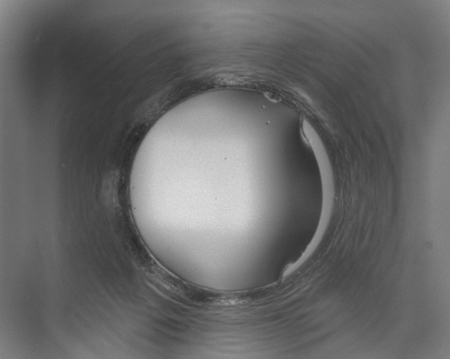 X0000073990217200609181751