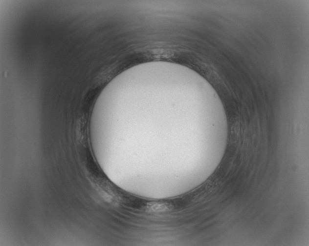 X0000073990218200609181751