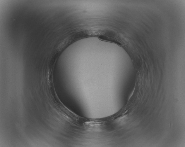 X0000073990219200609181751