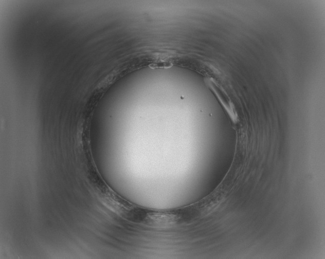 X0000073990221200609181751