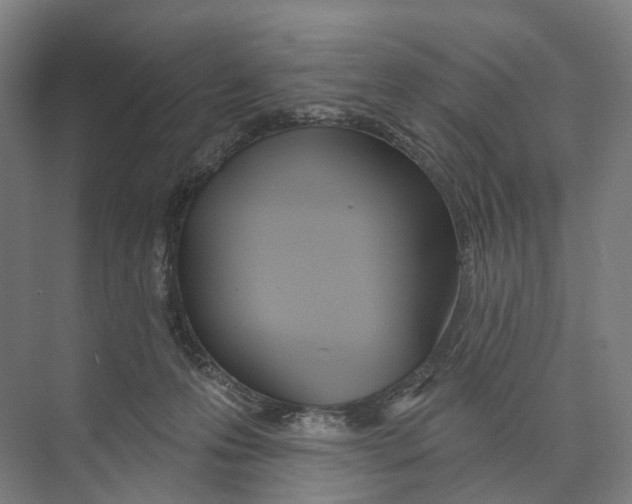 X0000073990223200609181750