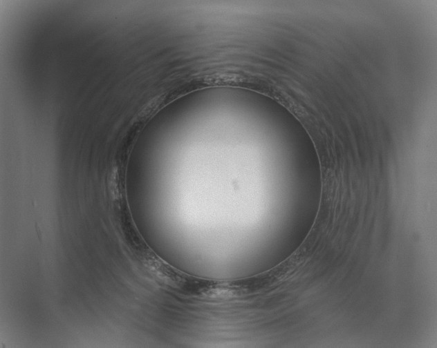 X0000073990224200609181750