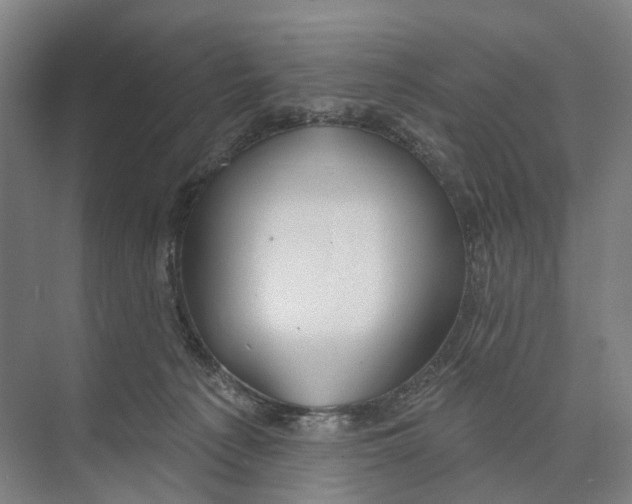 X0000073990225200609181750