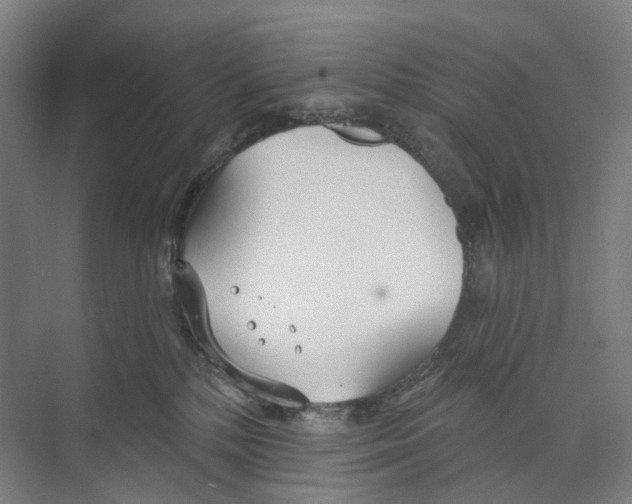 X0000073990232200609181750