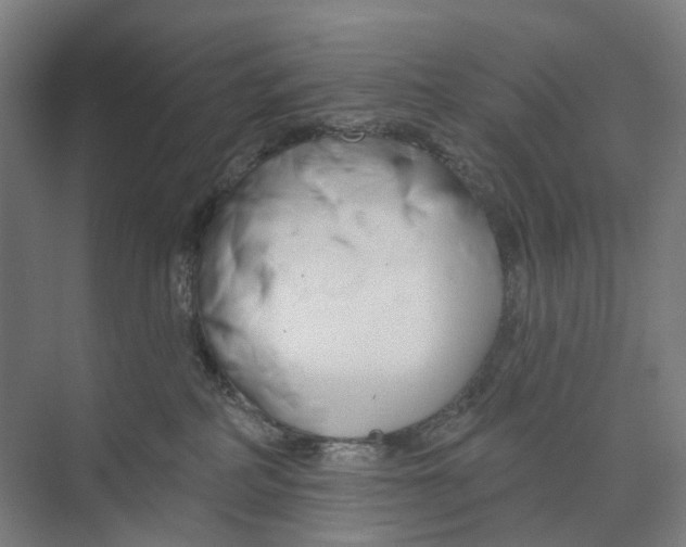 X0000073990234200609181750