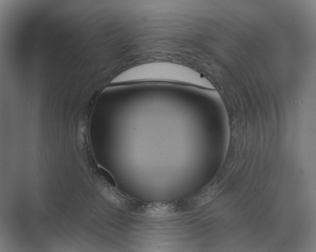 X0000073990235200609181750