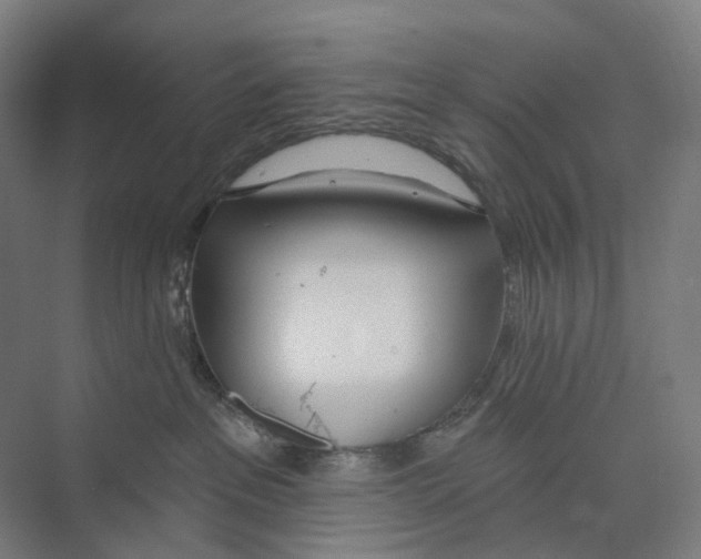 X0000073990237200609181750