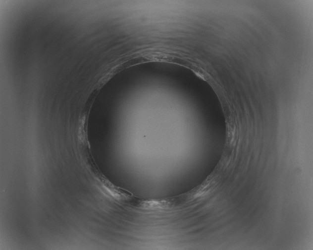 X0000073990239200609181750