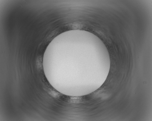 X0000073990240200609181750