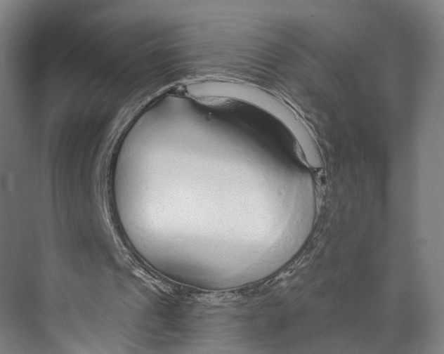 X0000073990241200609181749