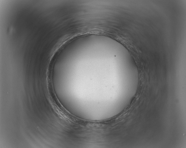 X0000073990242200609181749